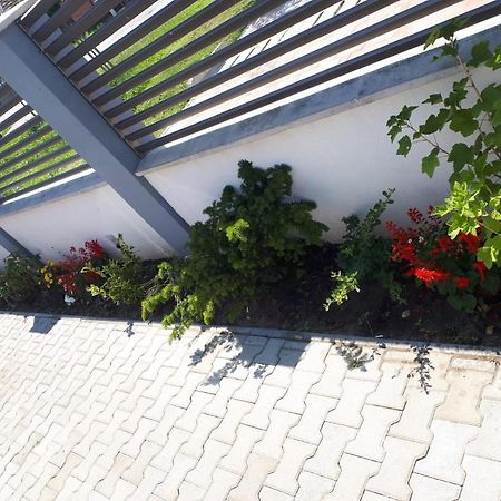 Apartament Saguna Sînnicolau Mare Eksteriør billede