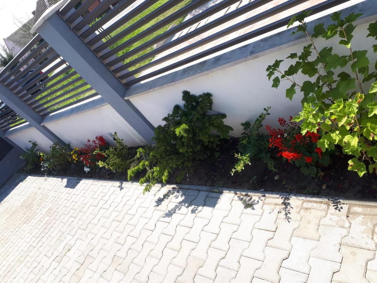 Apartament Saguna Sînnicolau Mare Eksteriør billede